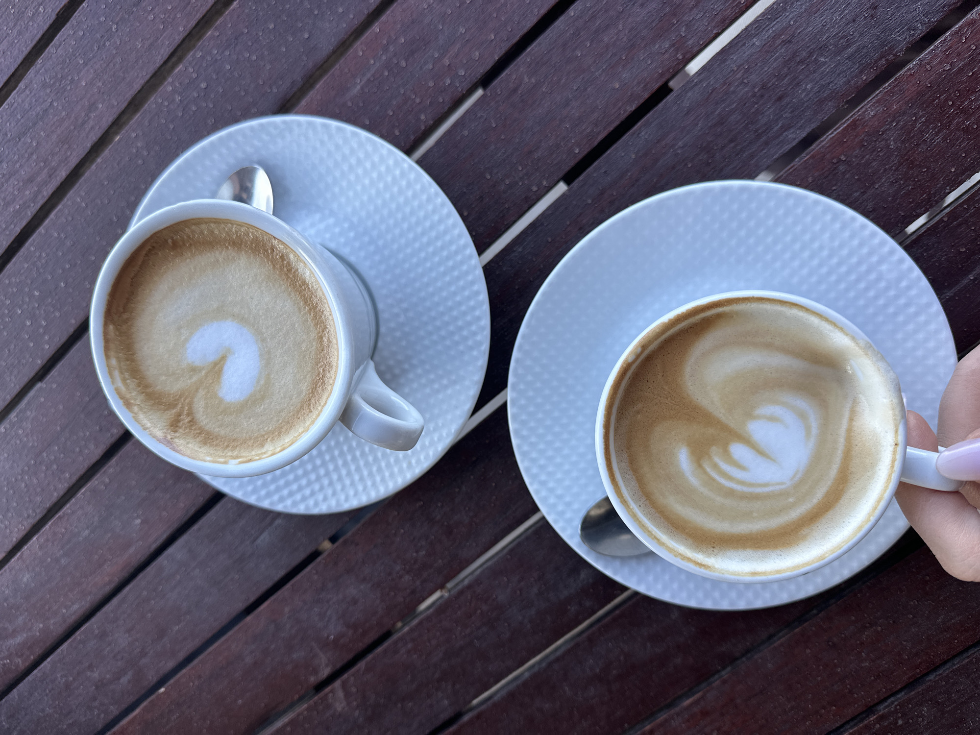 Morning coffee shared with Samoyed dog overlooking Adriatic Sea