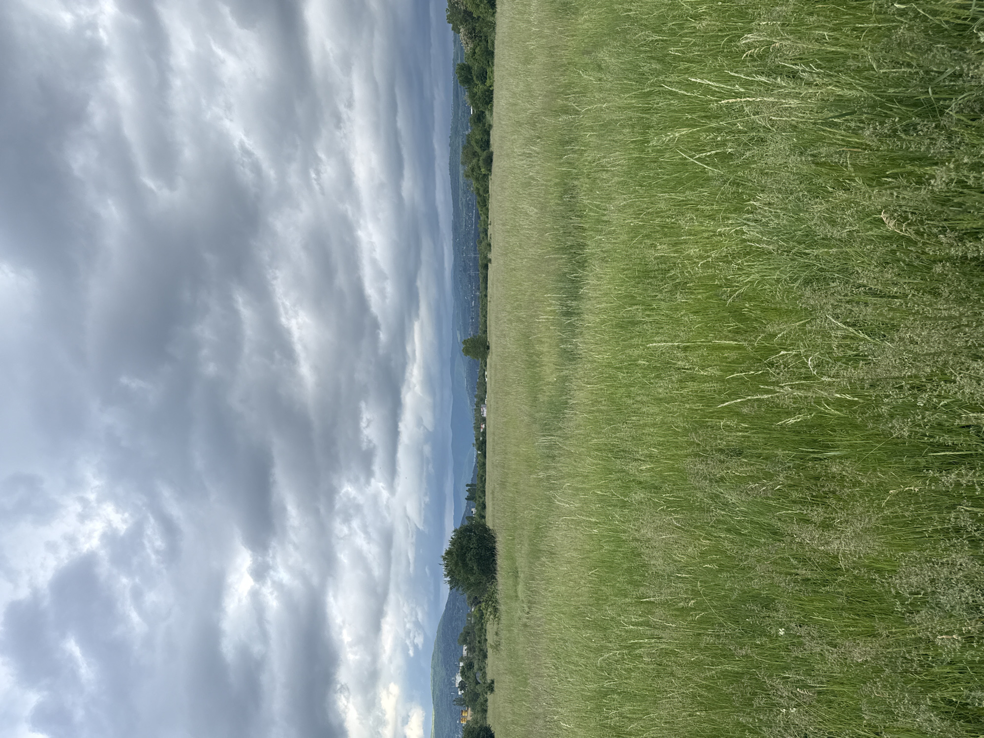 Dramatic overcast skies observed over green fields in Sofia