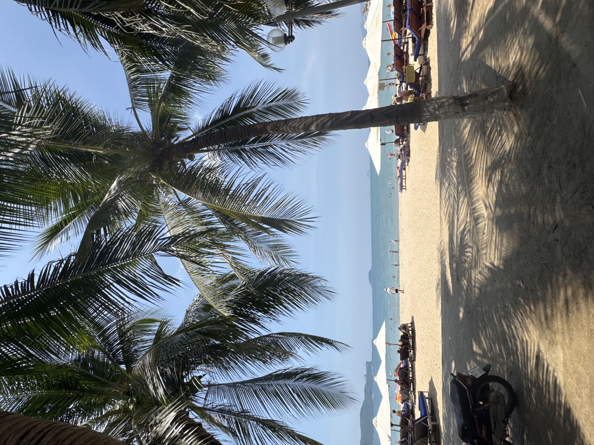 A laid-back morning along the Nha Trang shoreline