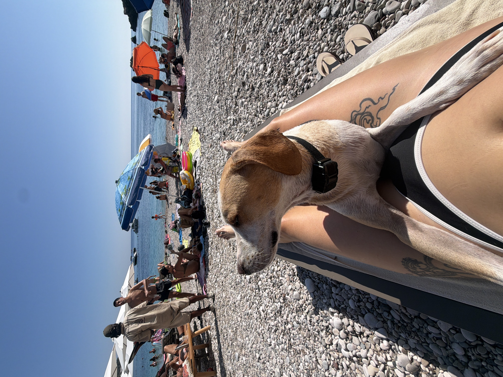 Lazy beach afternoon in Drobnići — sun, food, and a dog