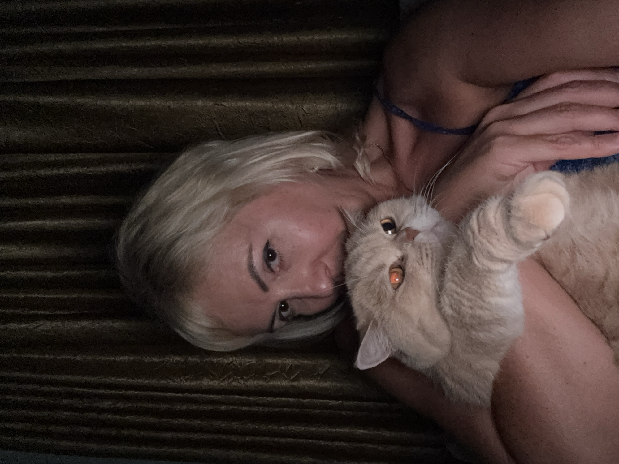 Woman enjoys quiet evening with cats in Alanya, Turkey