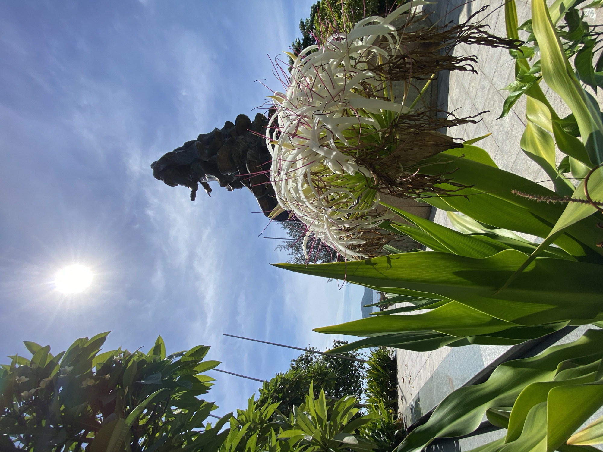 Morning at a Nha Trang temple park with statues and gardens