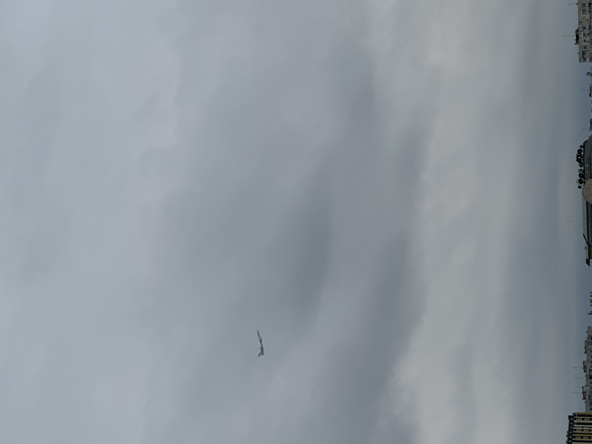 Morning sightings of aircraft and wildlife reported across Sofia