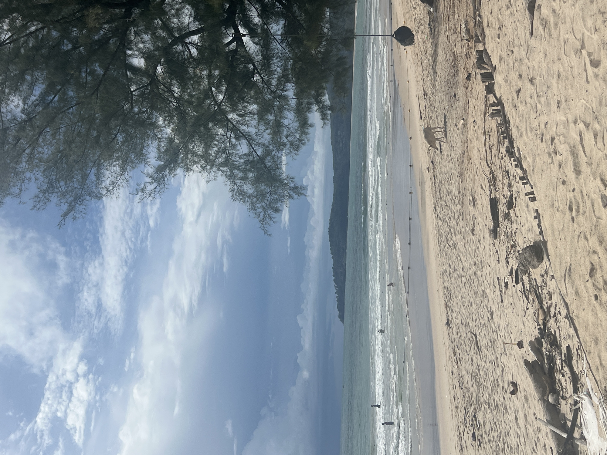 Lazy beach morning in Choeng Thale with a photogenic cat