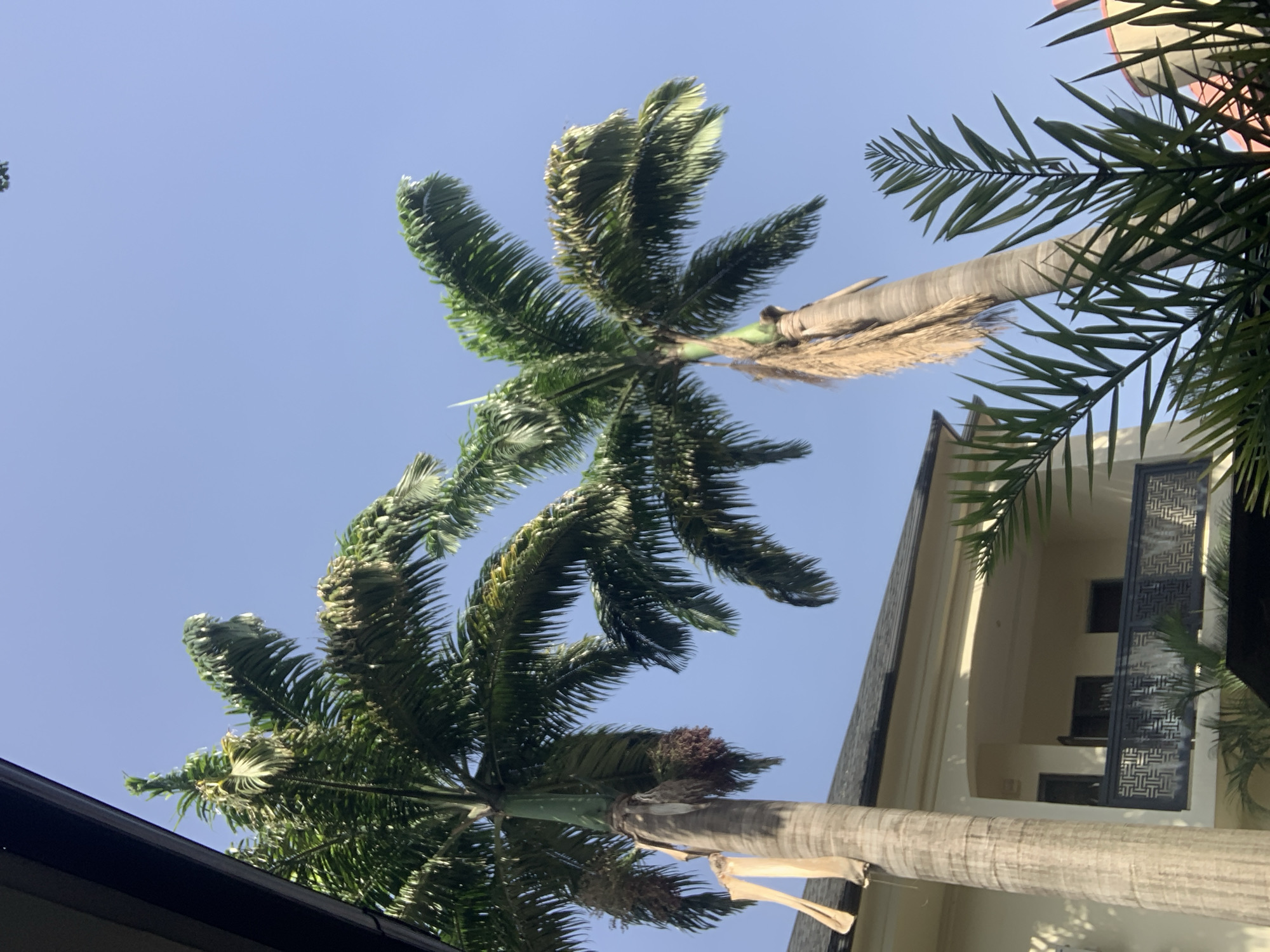 Laundry morning under blue skies in Abuja