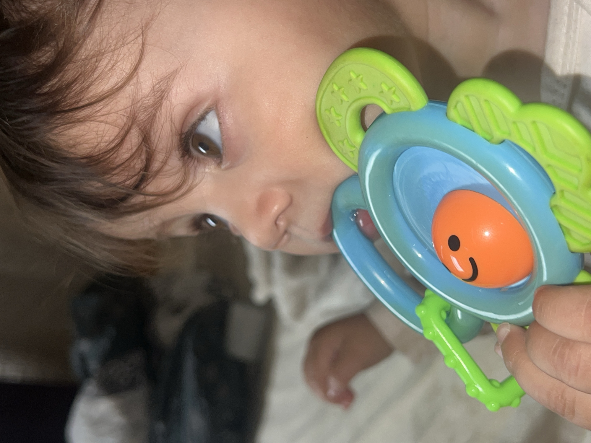 Baby's playtime captured in multiple photos in Elena, Bulgaria