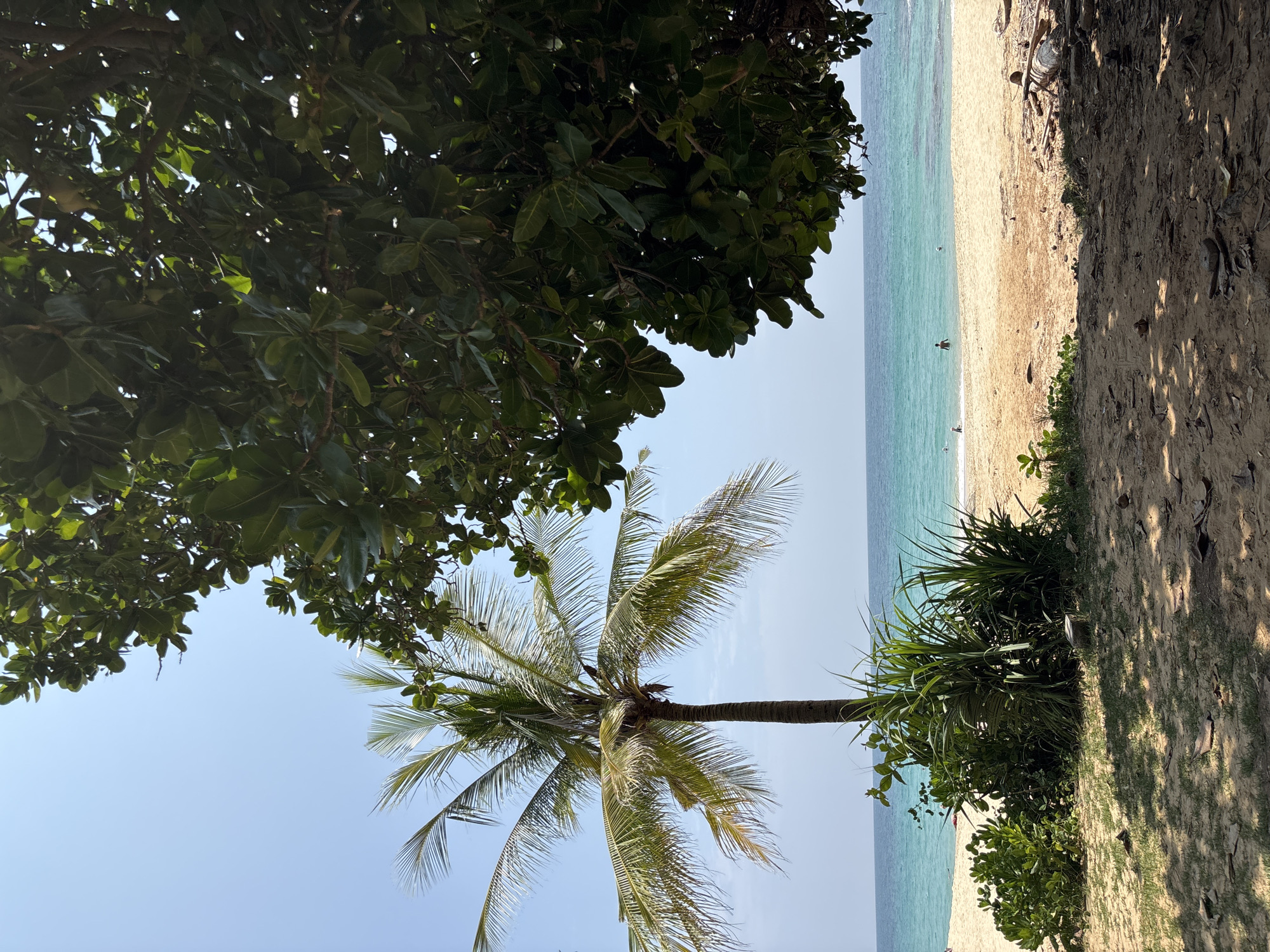 Early morning snorkeling session captured in Choeng Thale waters