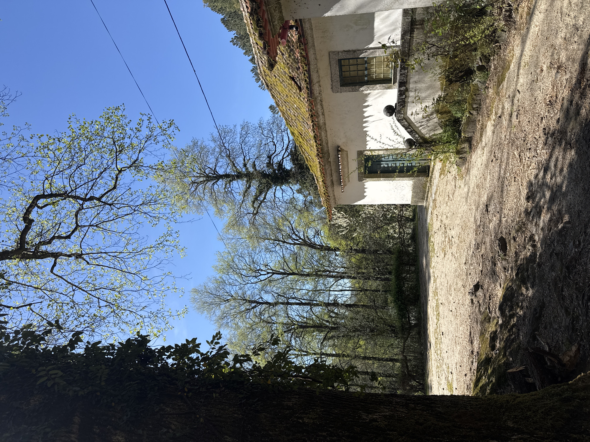 Rural white building with moss-covered roof documented in Amarante