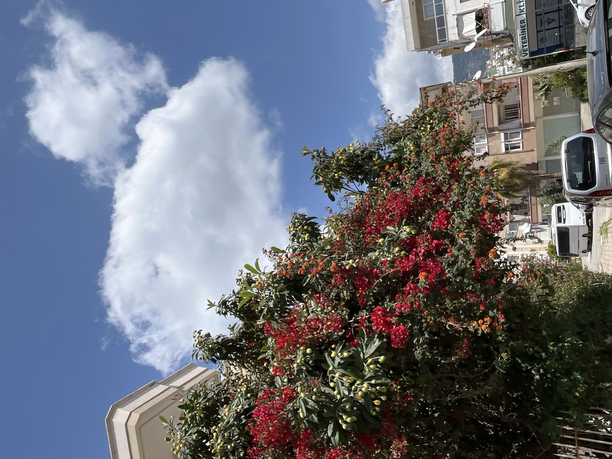 Morning scenes documented across Alanya, Turkey by single observer