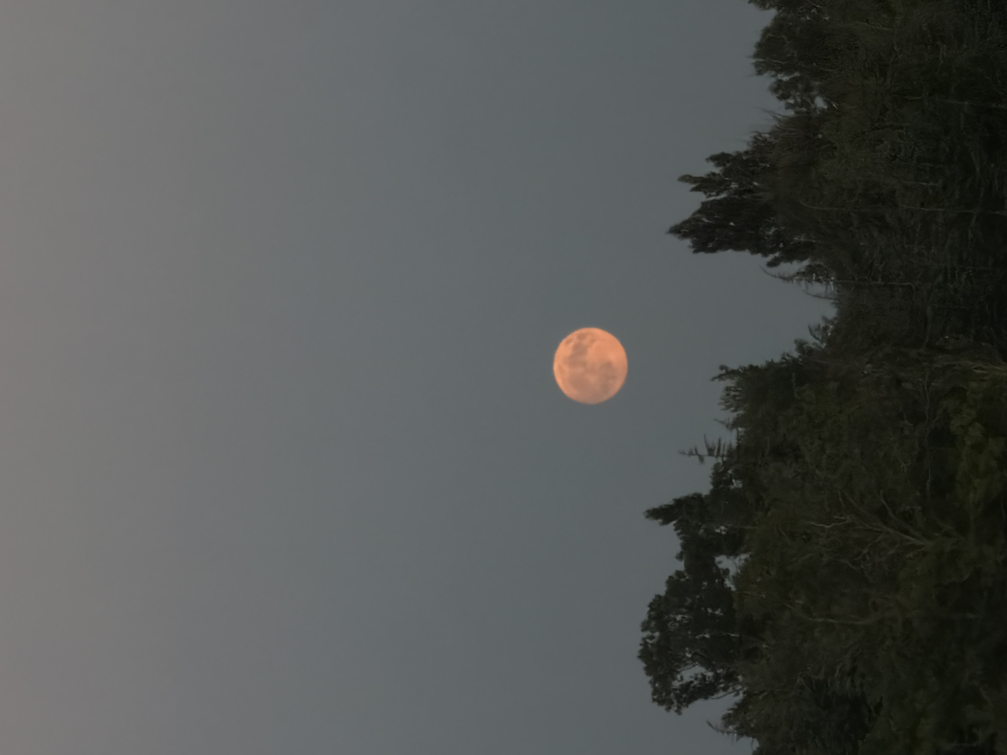 Orange moon rises over Pierrelatte as dessert is served