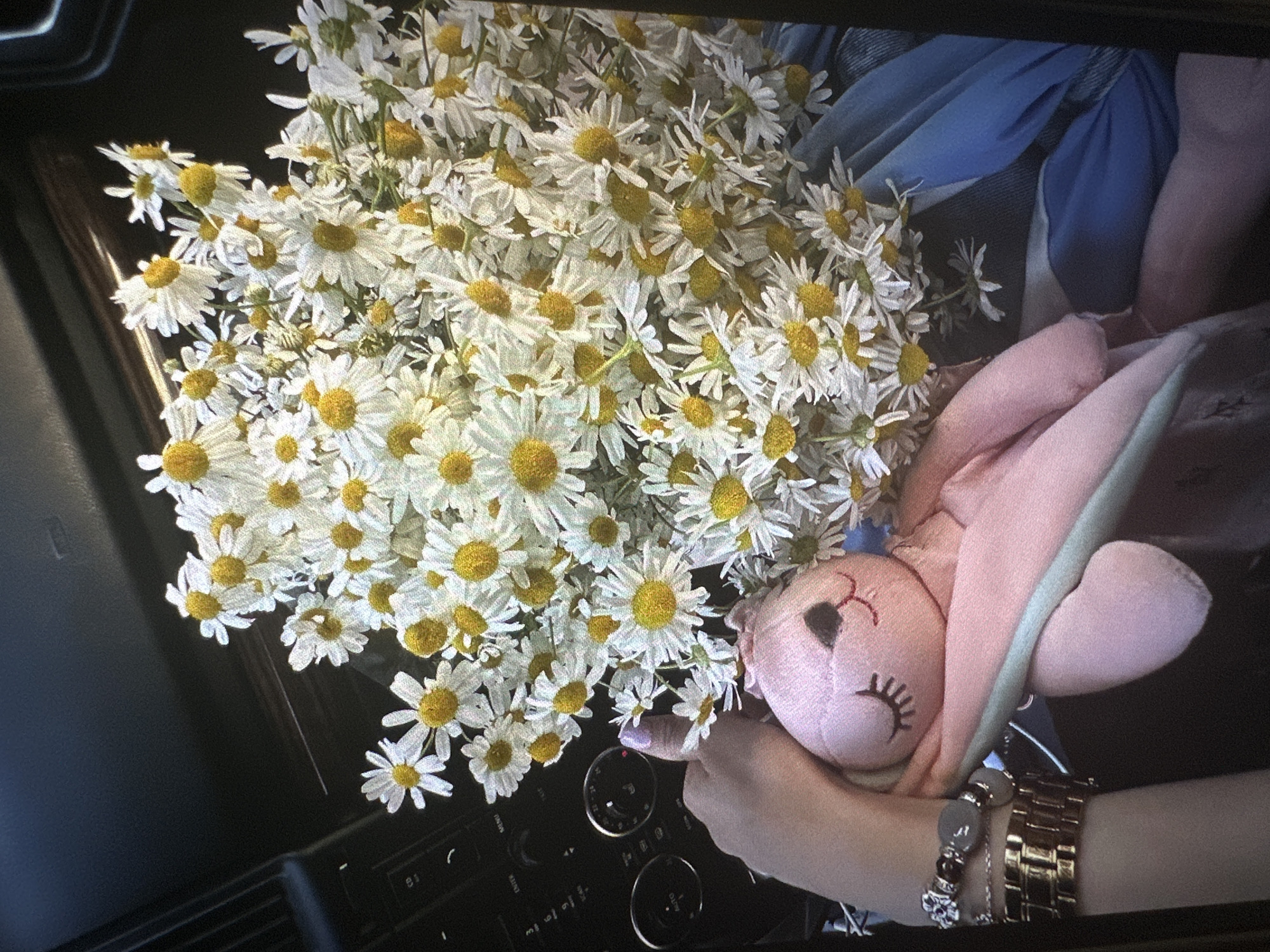 Quiet Moscow evening: flowers, a sleeping dog, home scenes