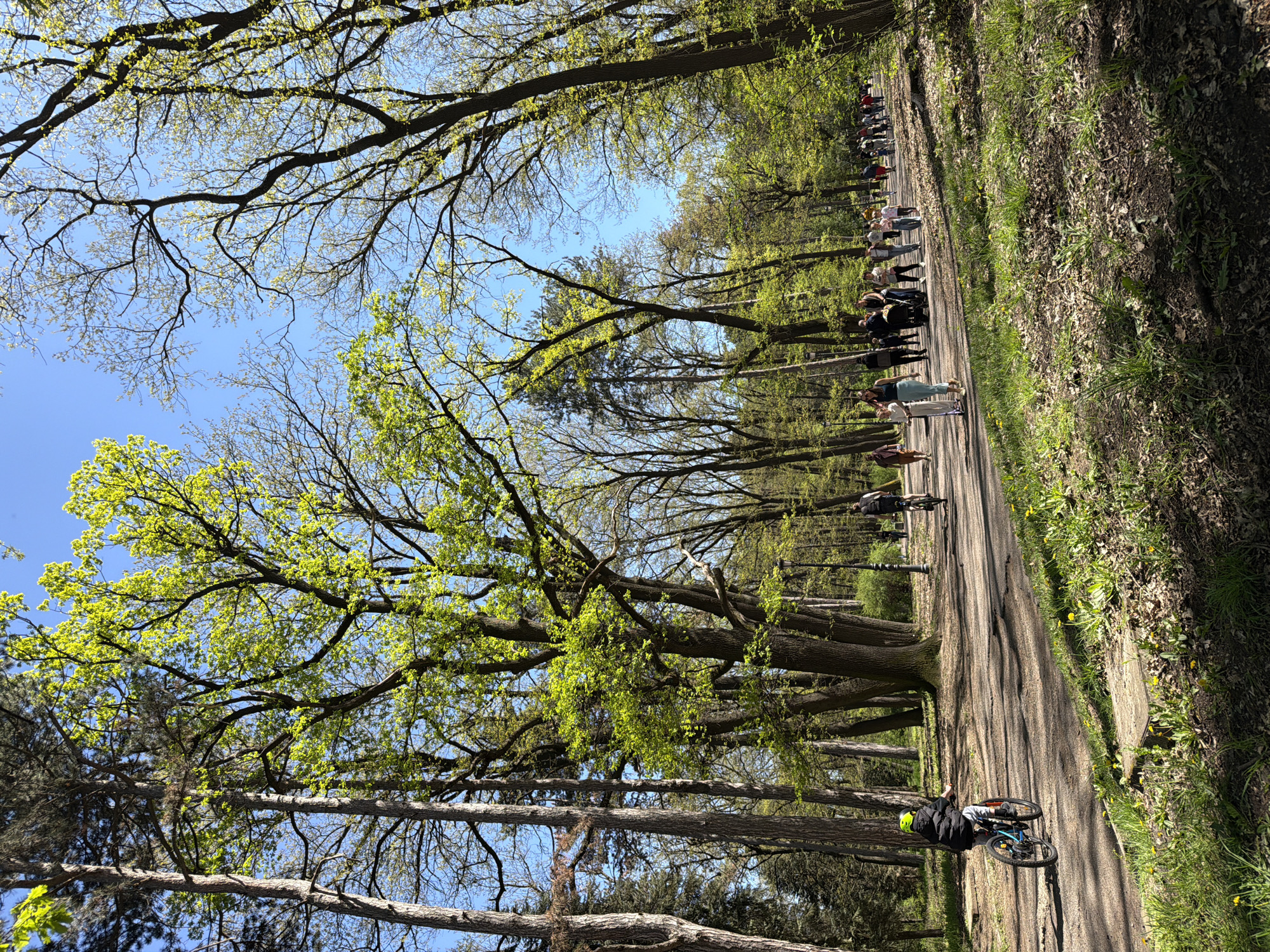 Friends enjoy spring afternoon in Sofia park