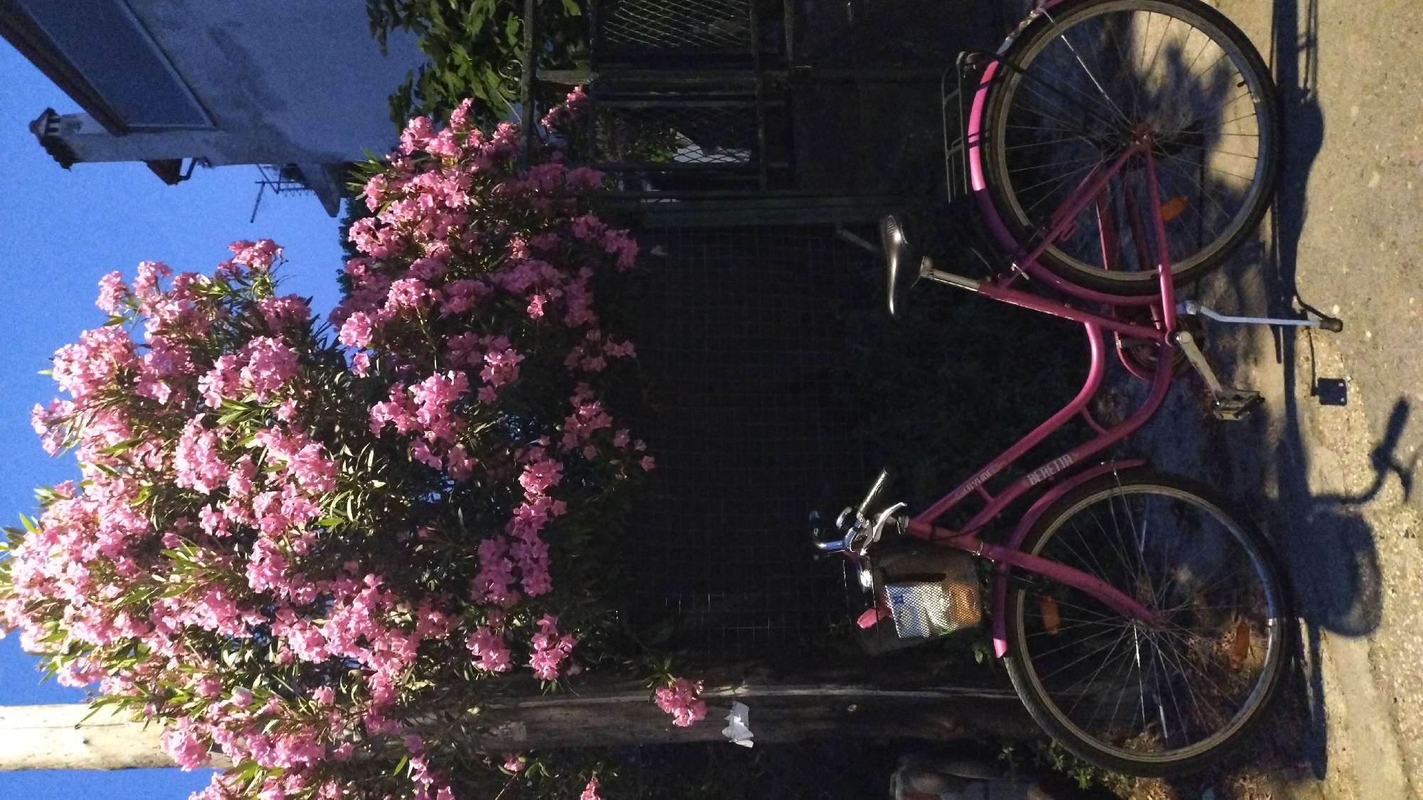 Evening life documented in Greek coastal towns