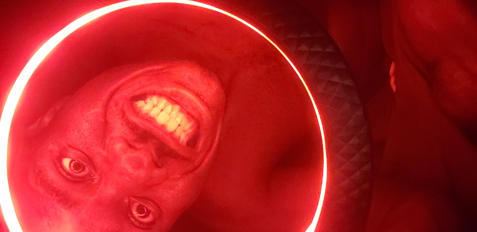 Person photographed under red ring lighting in Narayi, Nigeria