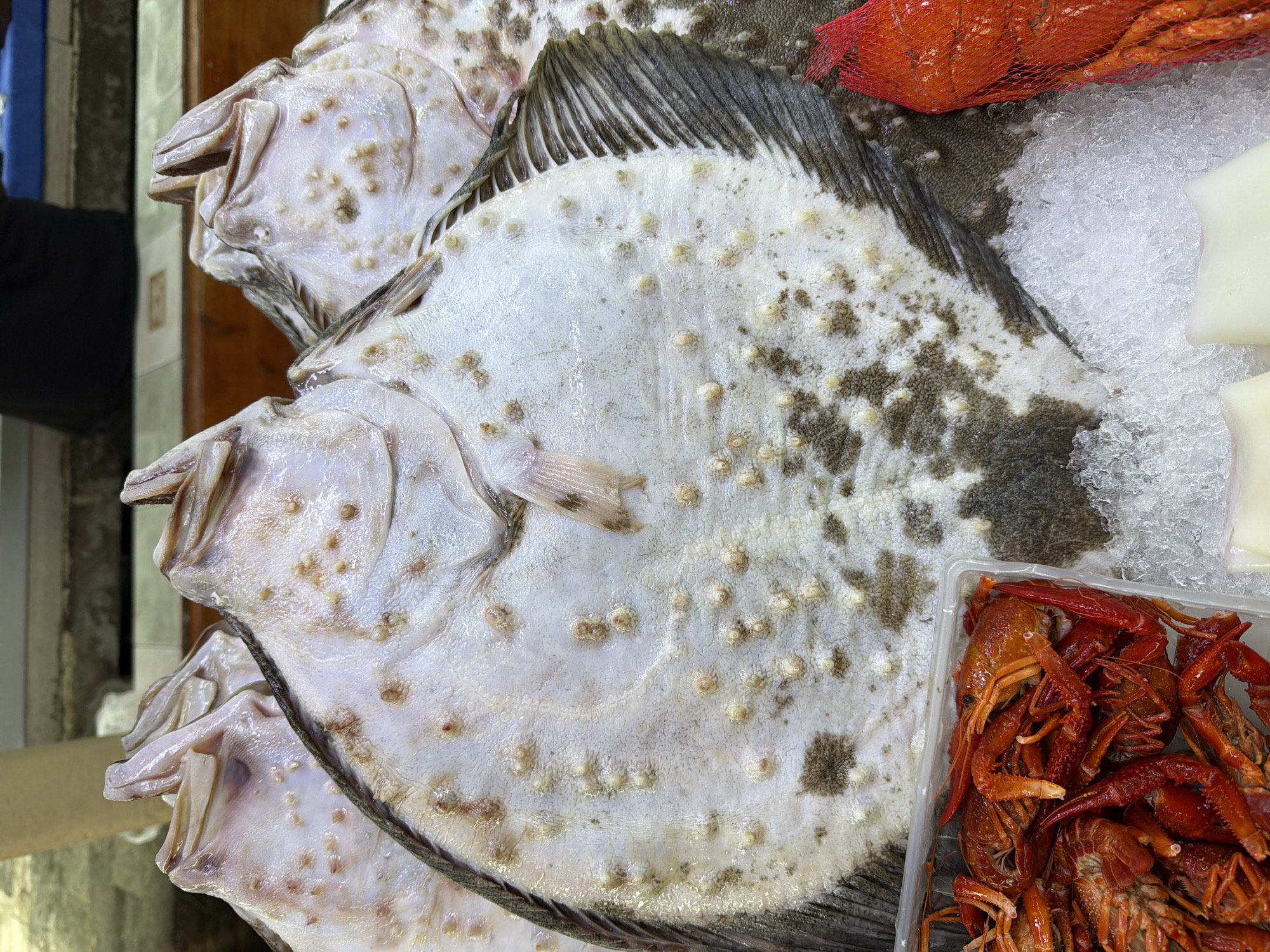 Fresh seafood market spread in Batumi, Georgia