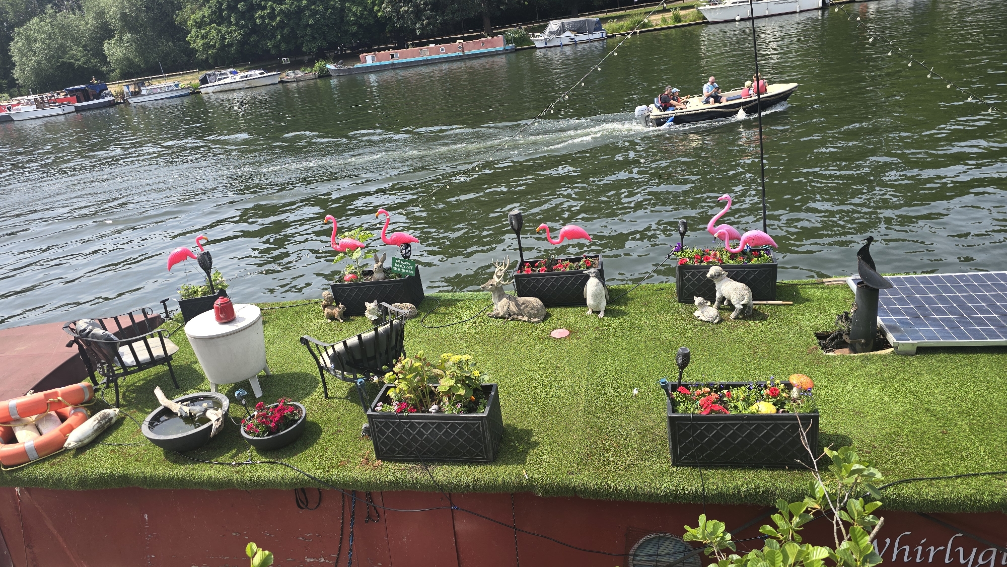 Decorated garden boat spotted on London river alongside wildlife