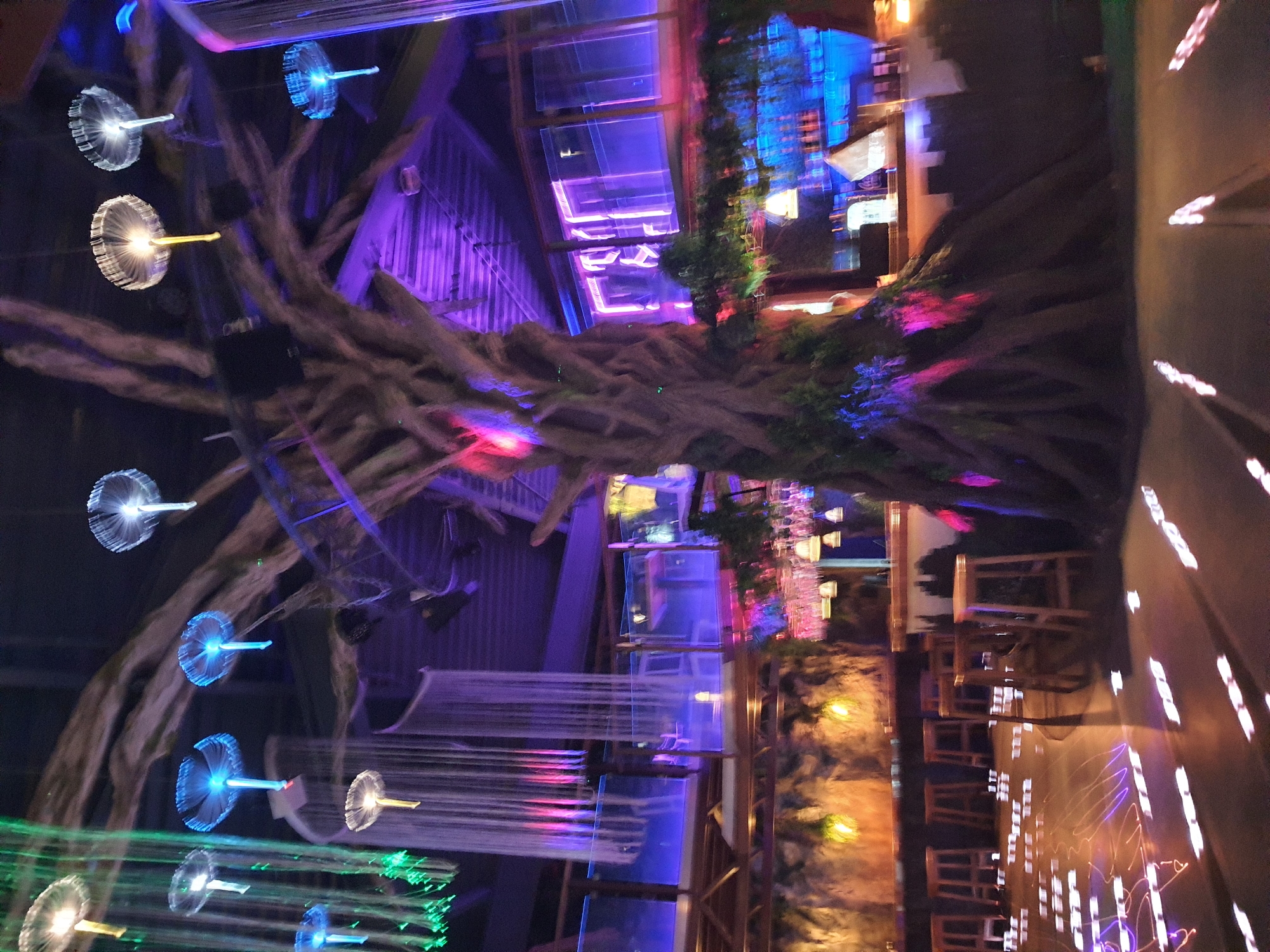 Restaurant interior features illuminated artificial tree in Liski, Russia