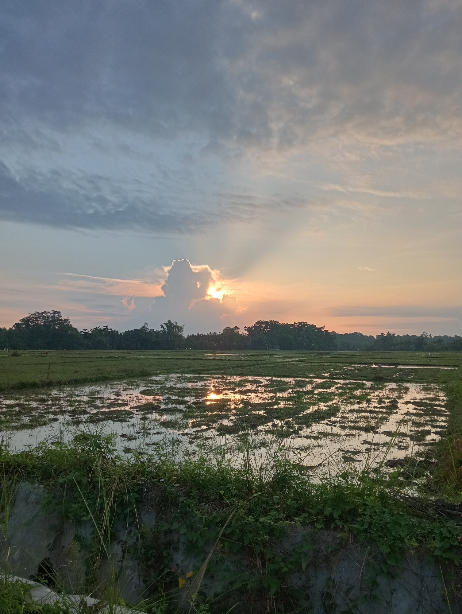 Gampongbaro, Indonesia