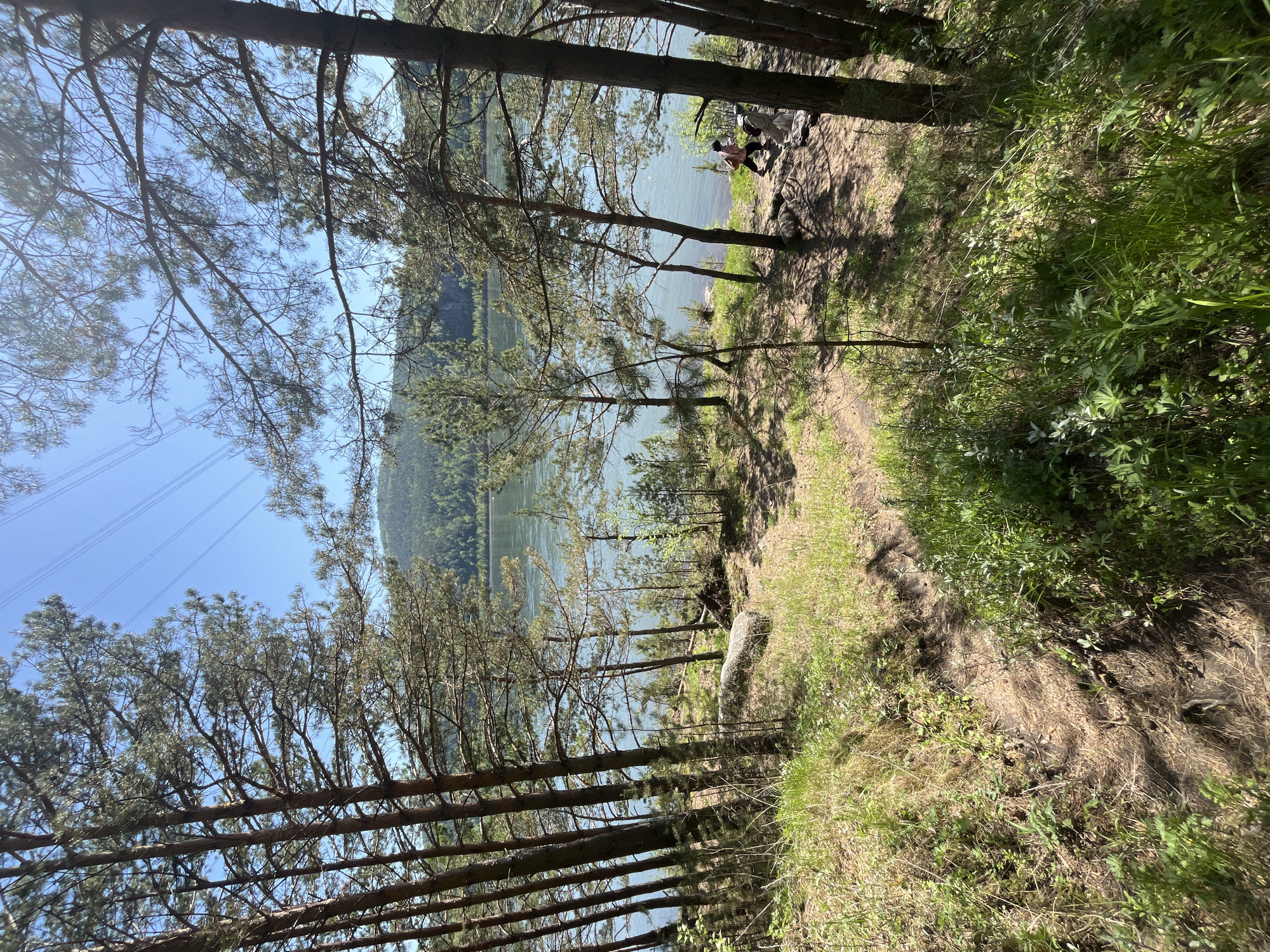 Morning nature outing documented along Krasnoyarsk riverbank
