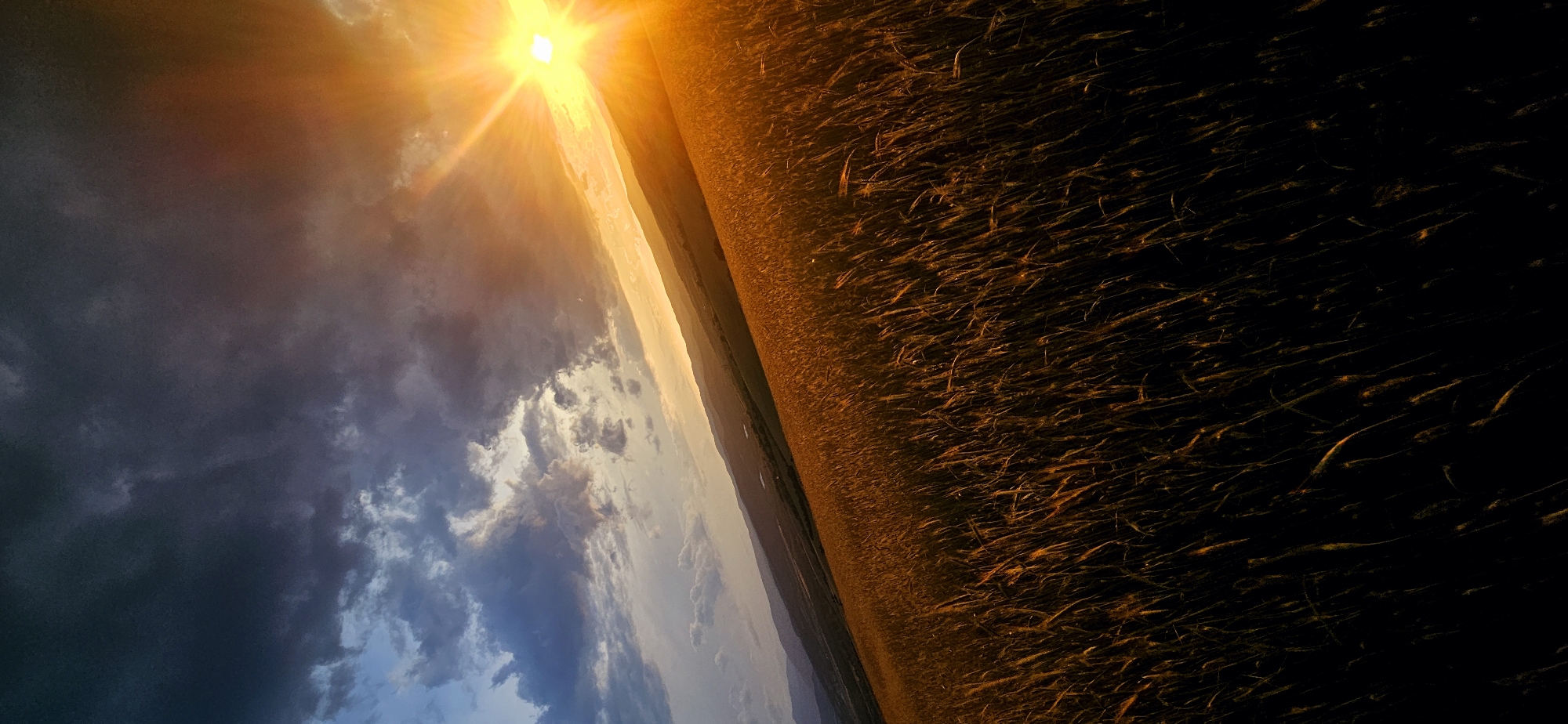 Dramatic sunset illuminates Bulgarian wheat fields amid stormy skies