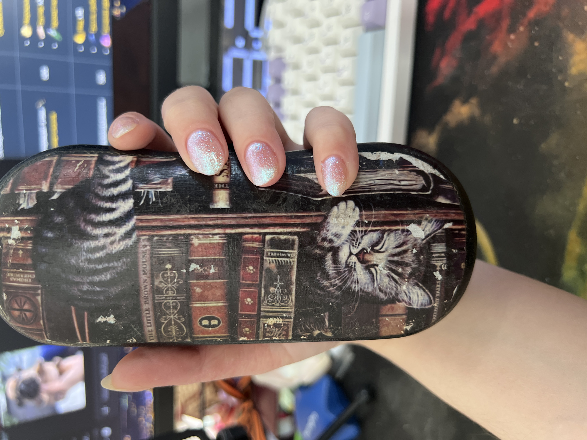 Person displays cat-themed glasses case in Pushchino