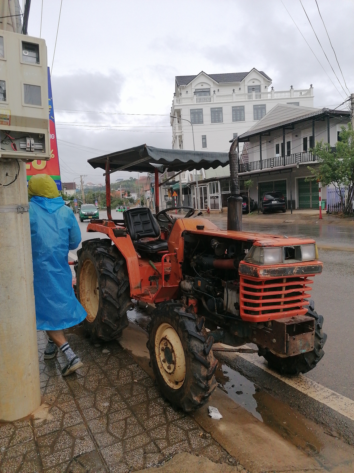 A rainy day in Lạc Dương, roses and all