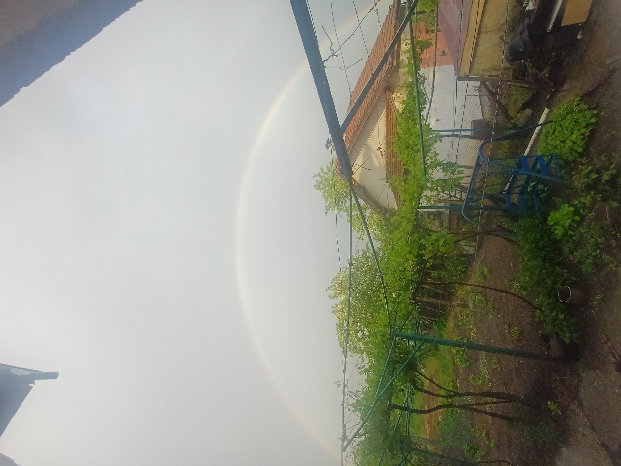 Rainbow appears over vineyard in Cherven Bryag, Bulgaria