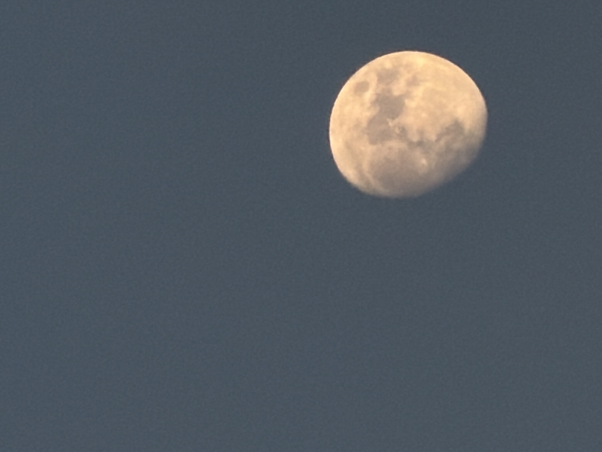 Moon rising over Chirchik, with a curious bird below