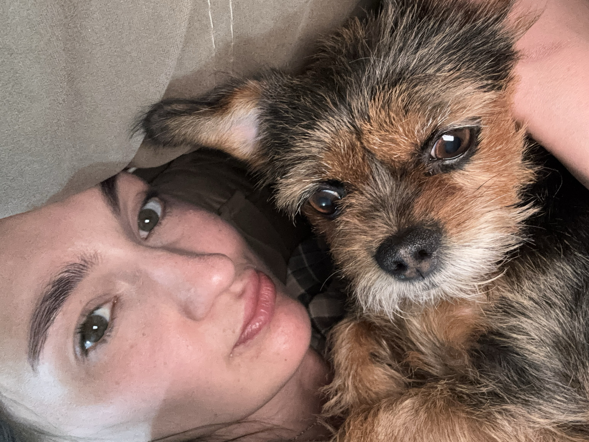 Woman and dog share quiet evening moments in Sochi