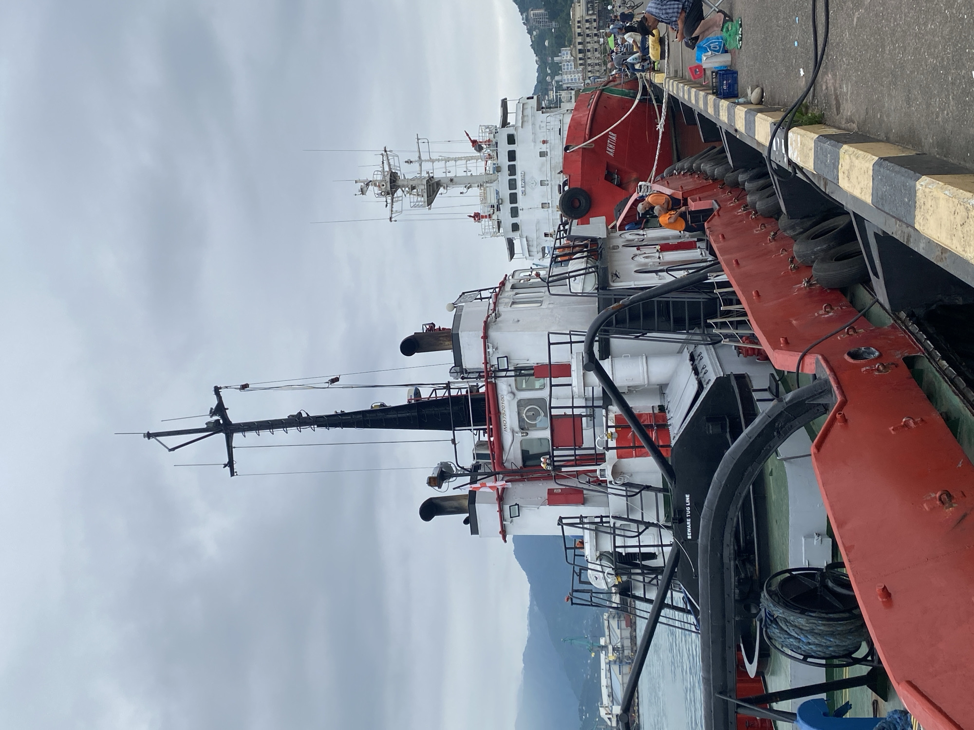 Tugboats and ships line the working waterfront in Batumi