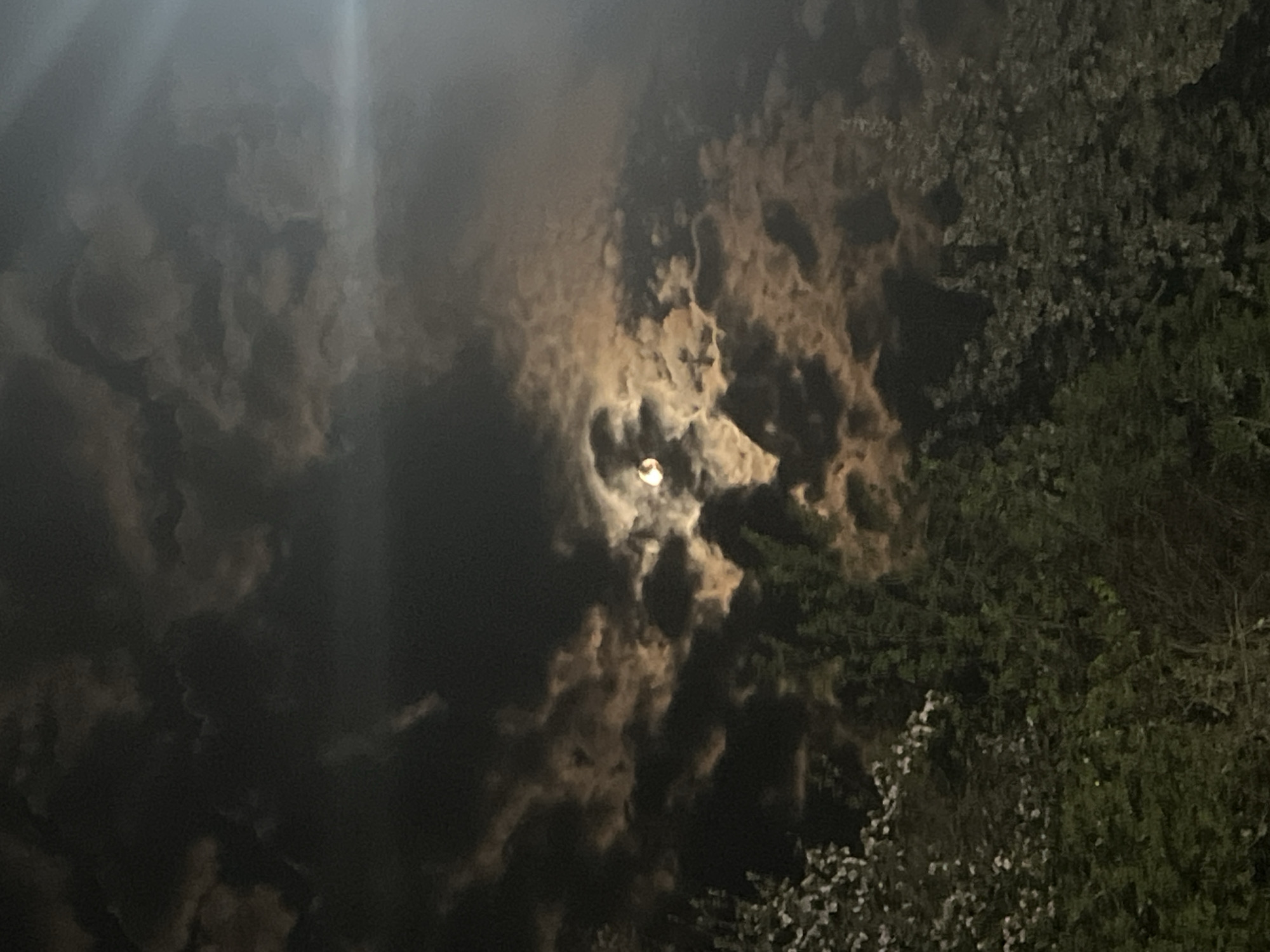 Witness documents dramatic moonlit night scene in Kribul, Bulgaria