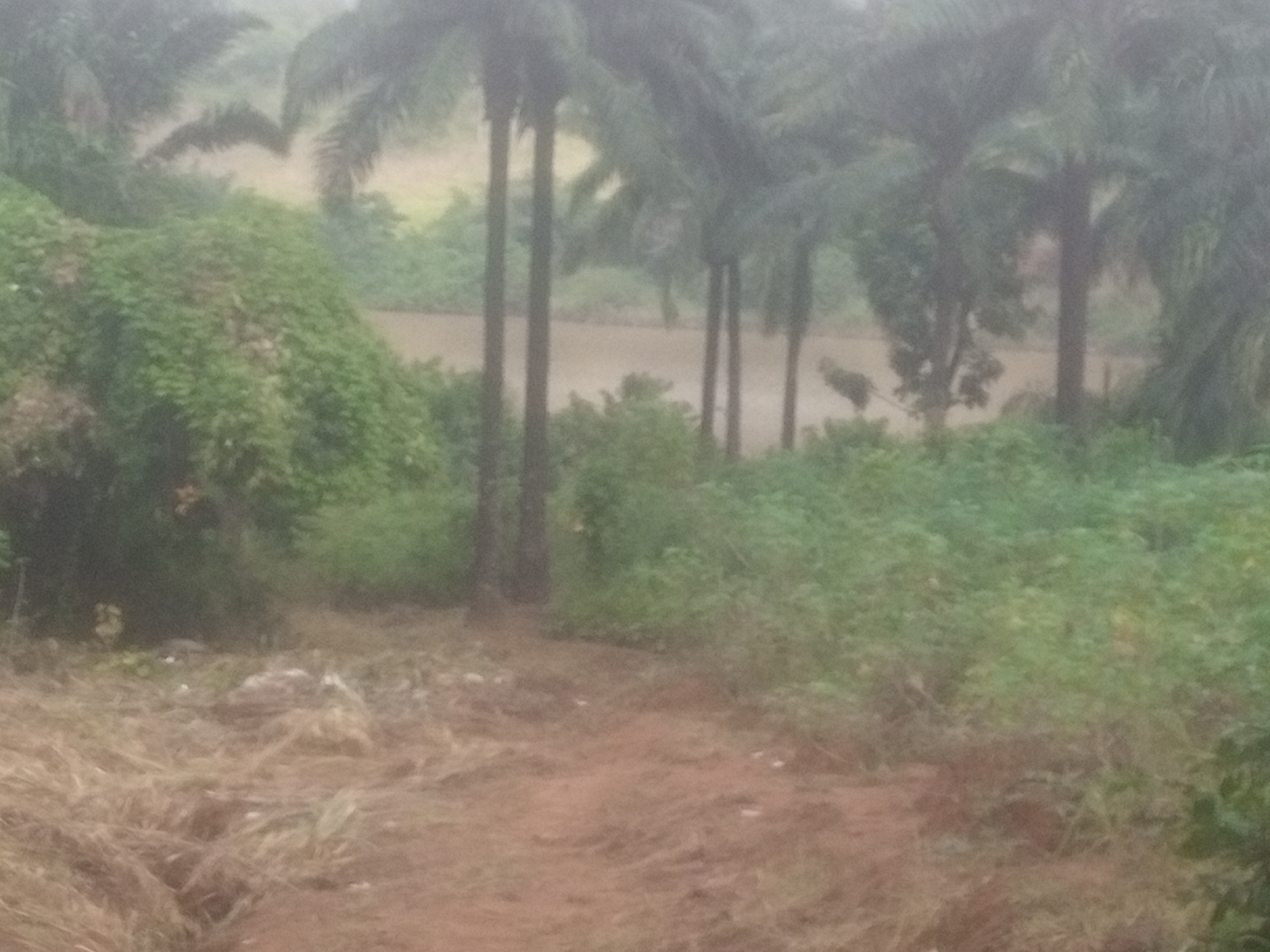 Nanka, Nigeria