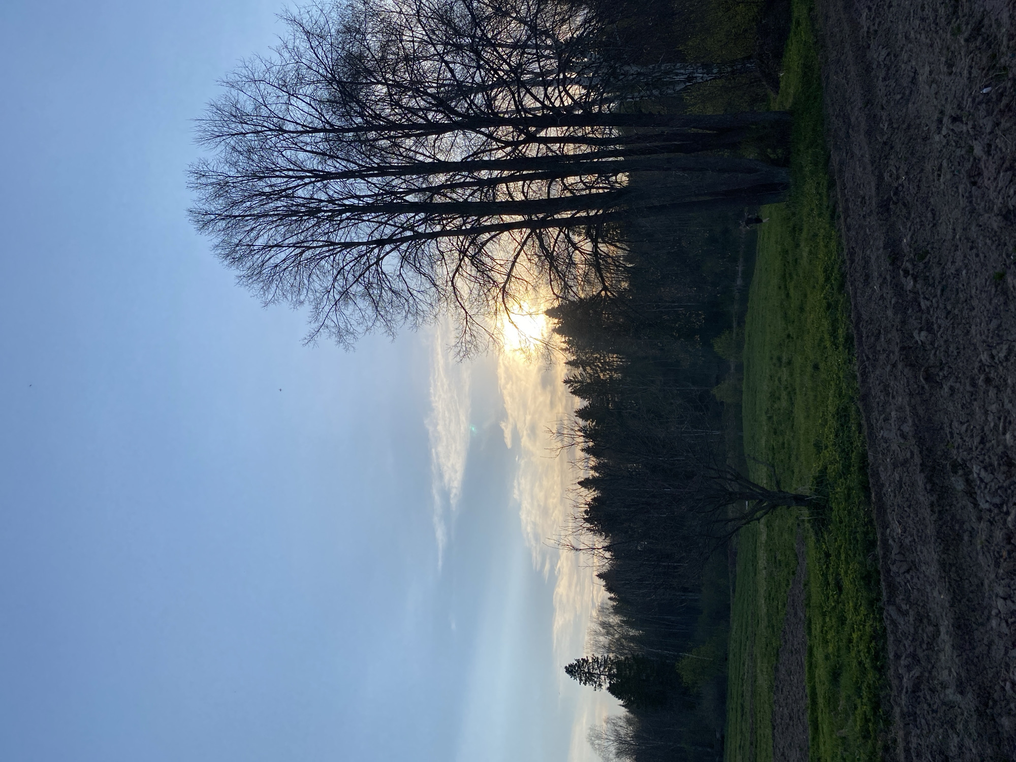 Rural life documented at sunset in Баклуши, Russia