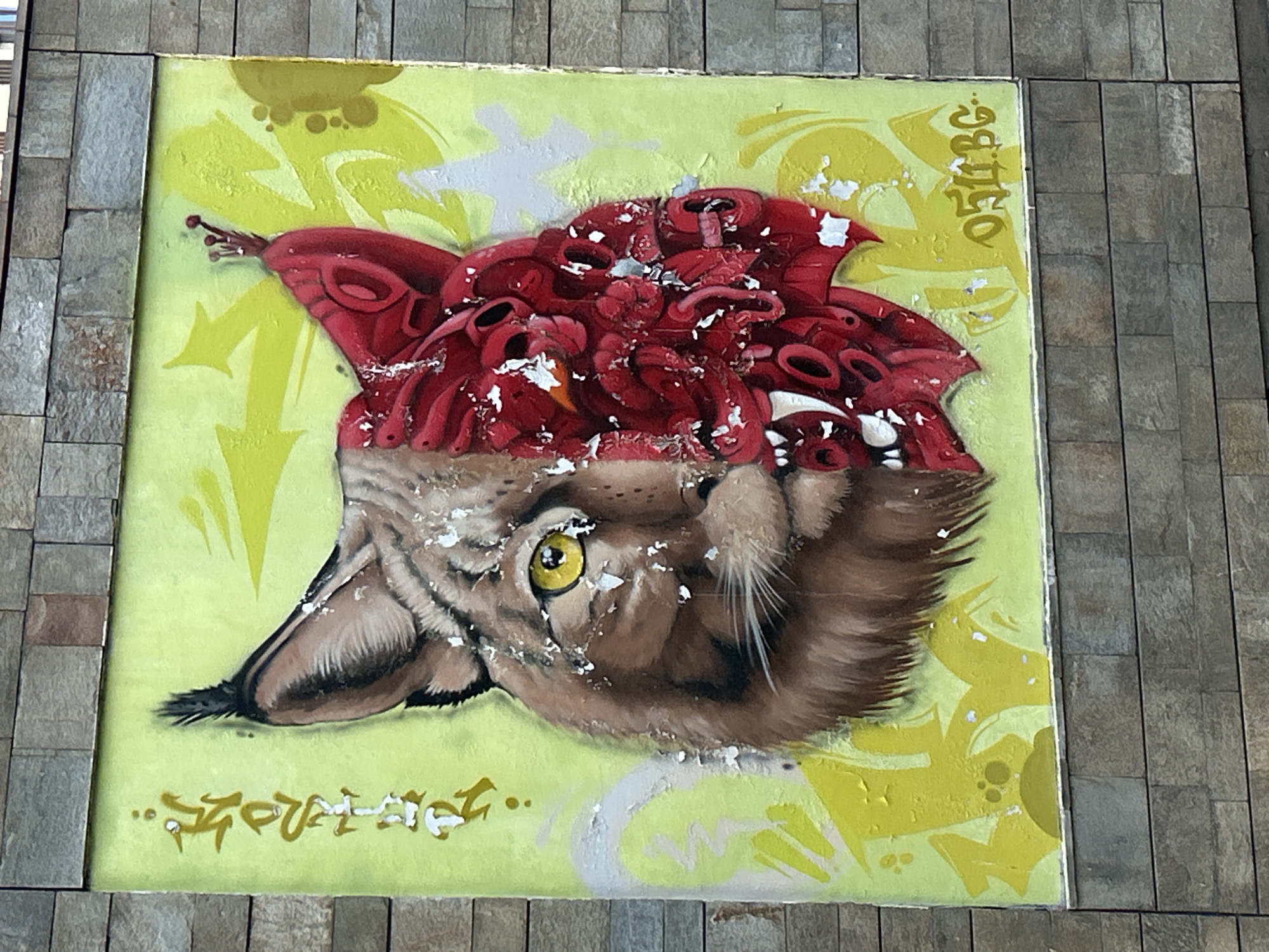 Evening street art and casual moments documented in Sofia