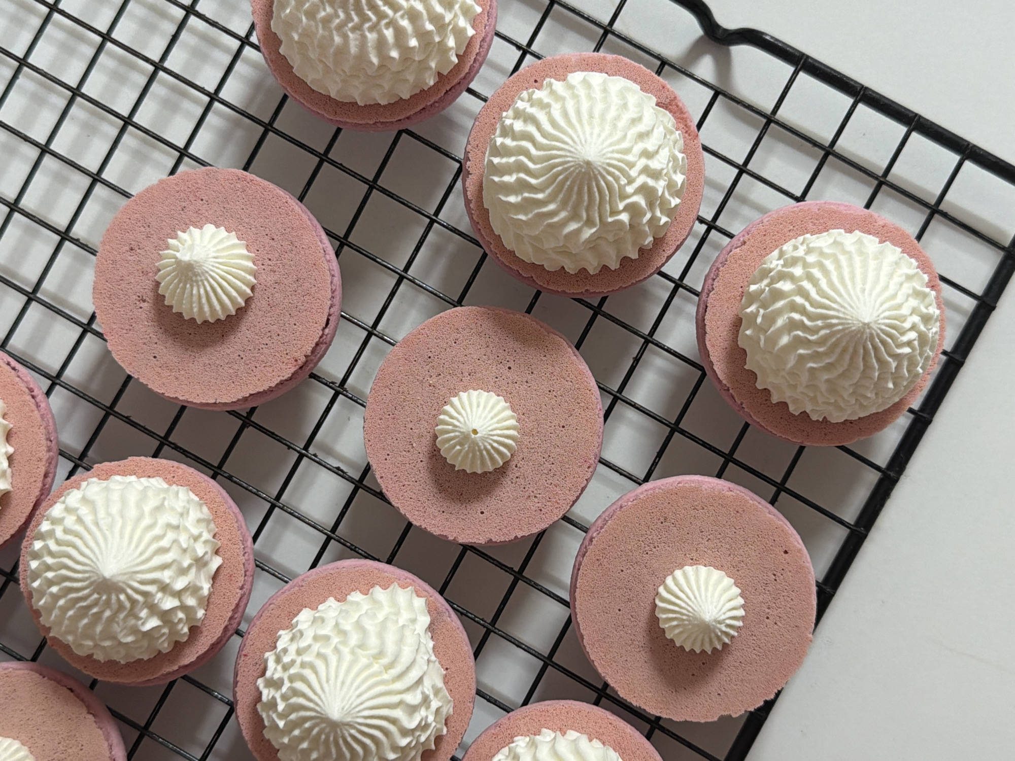 Tel Aviv Woman Spends Afternoon Baking Colorful Macarons
