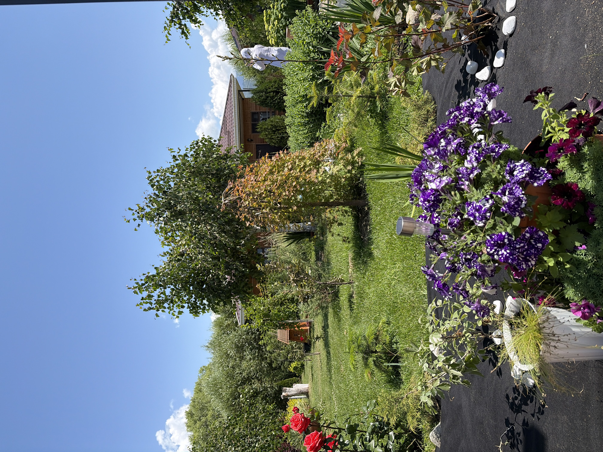 Morning visit to a Central Asian resort with gardens and hot springs