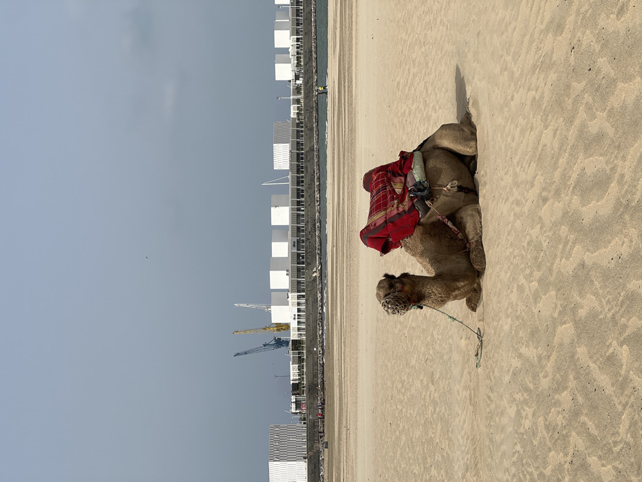 Ordinary afternoon unfolds along Tangier's tourist beachfront