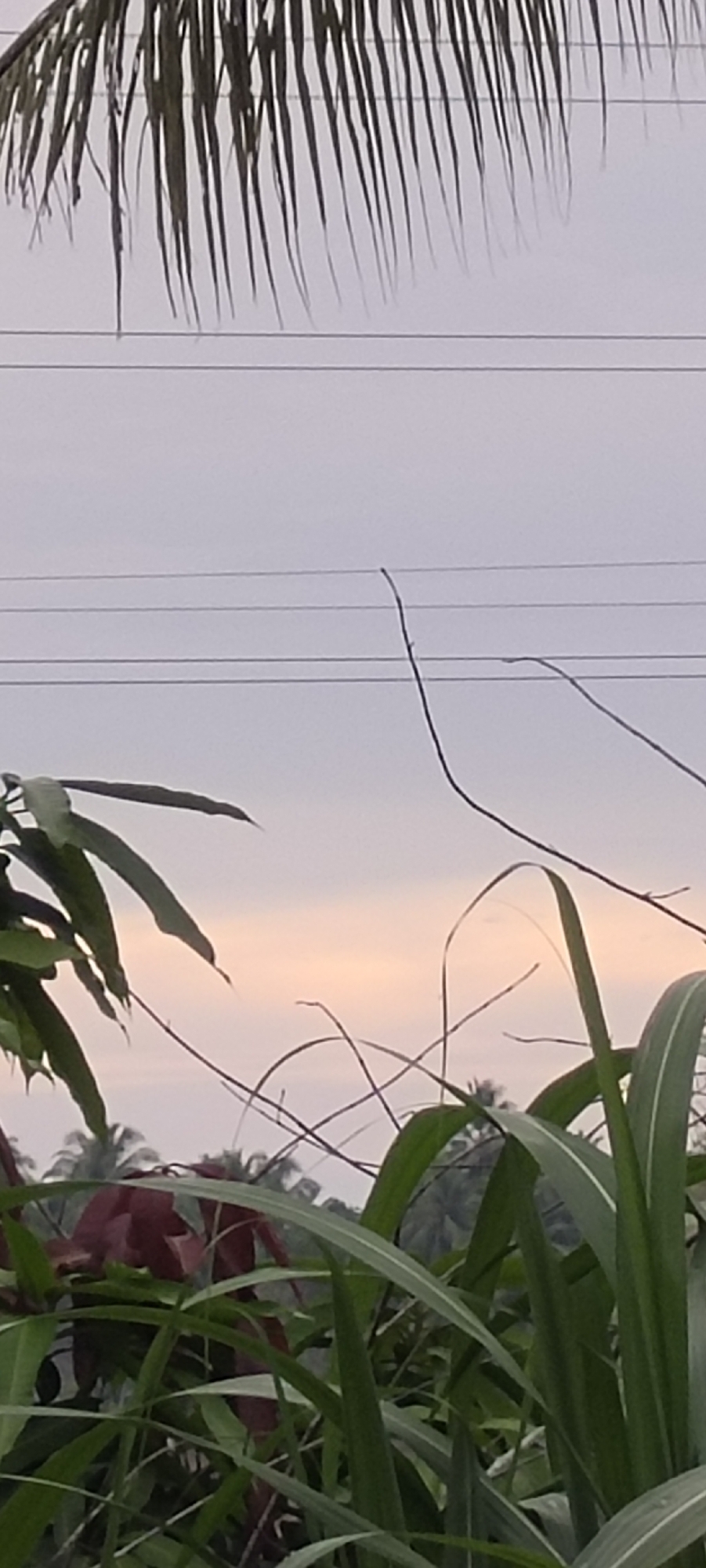 Evening landscape captured in Lhokseumawe shows power lines under dusk