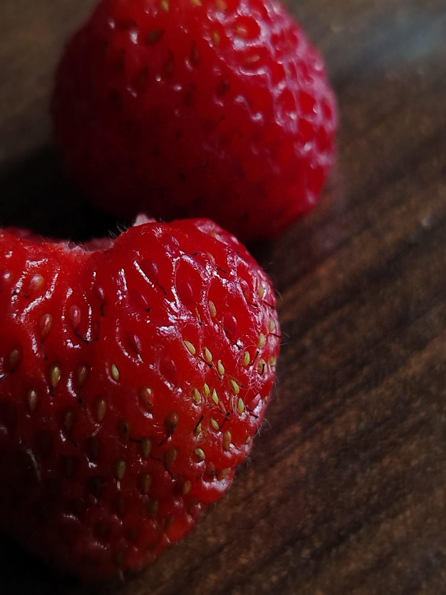 Close-up shots of strawberries and a Peace Lily indoors