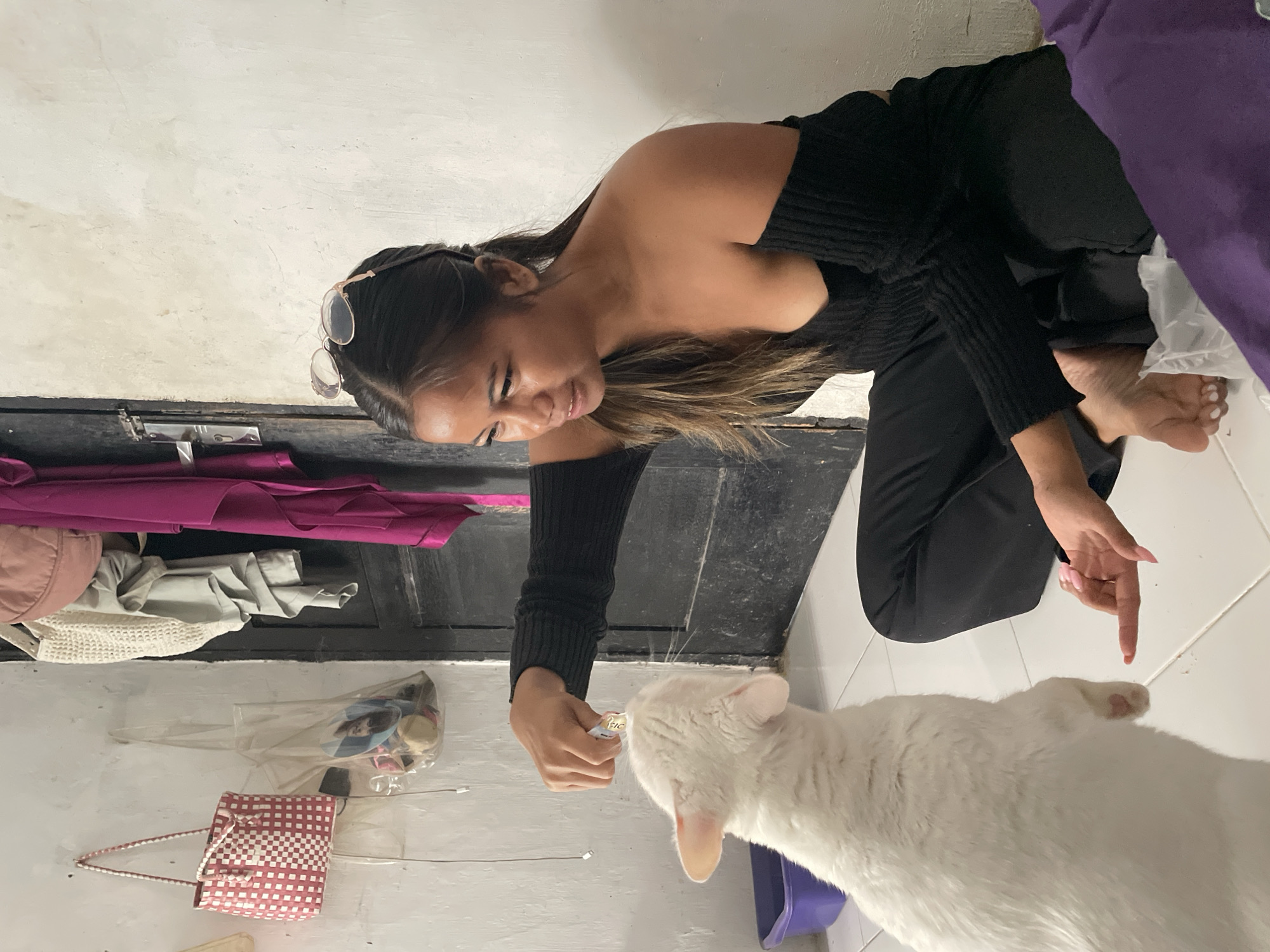 Jakarta residents share quiet moments with white cat