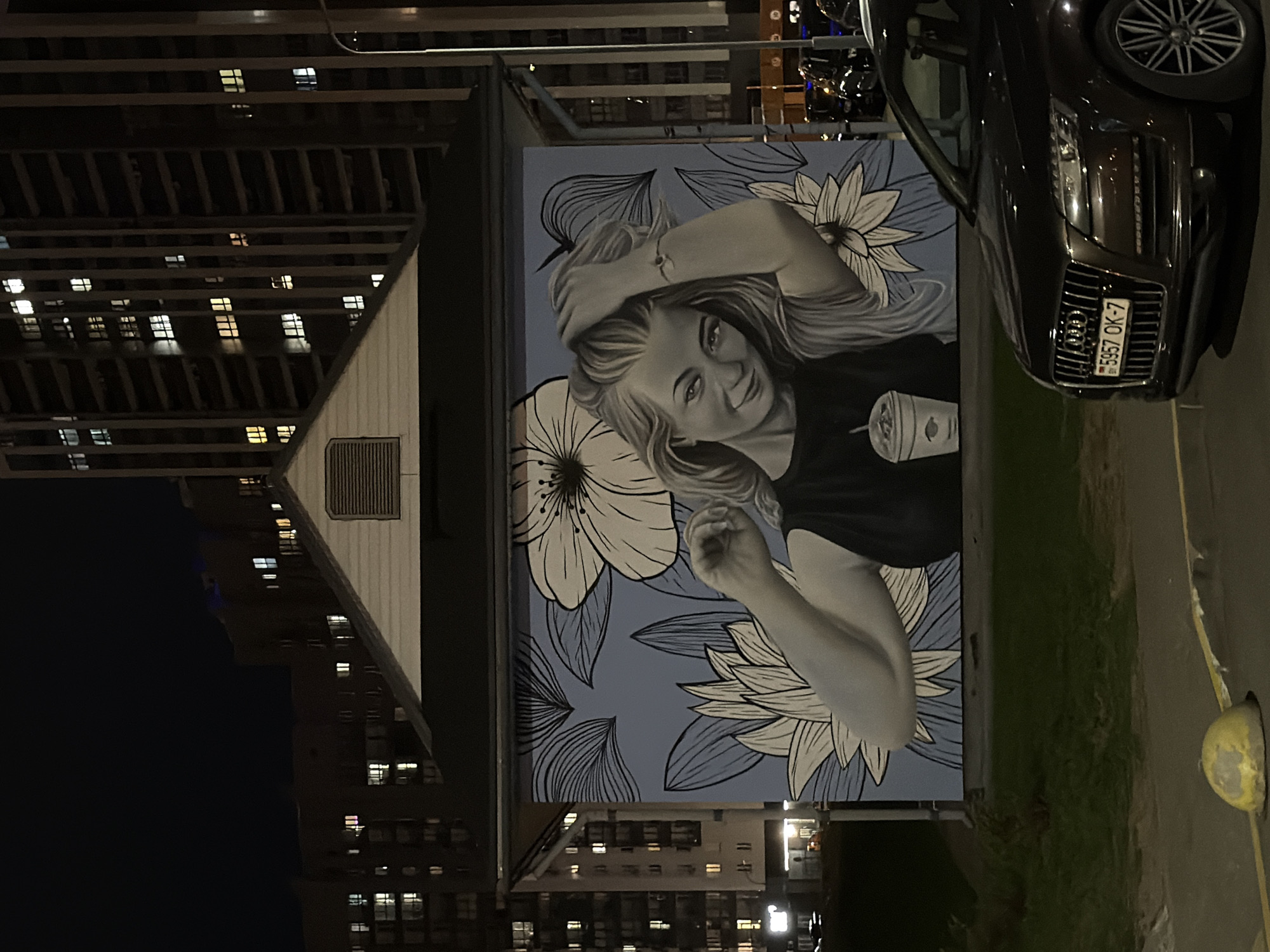 Night scene documented in Minsk featuring mural and streetlights