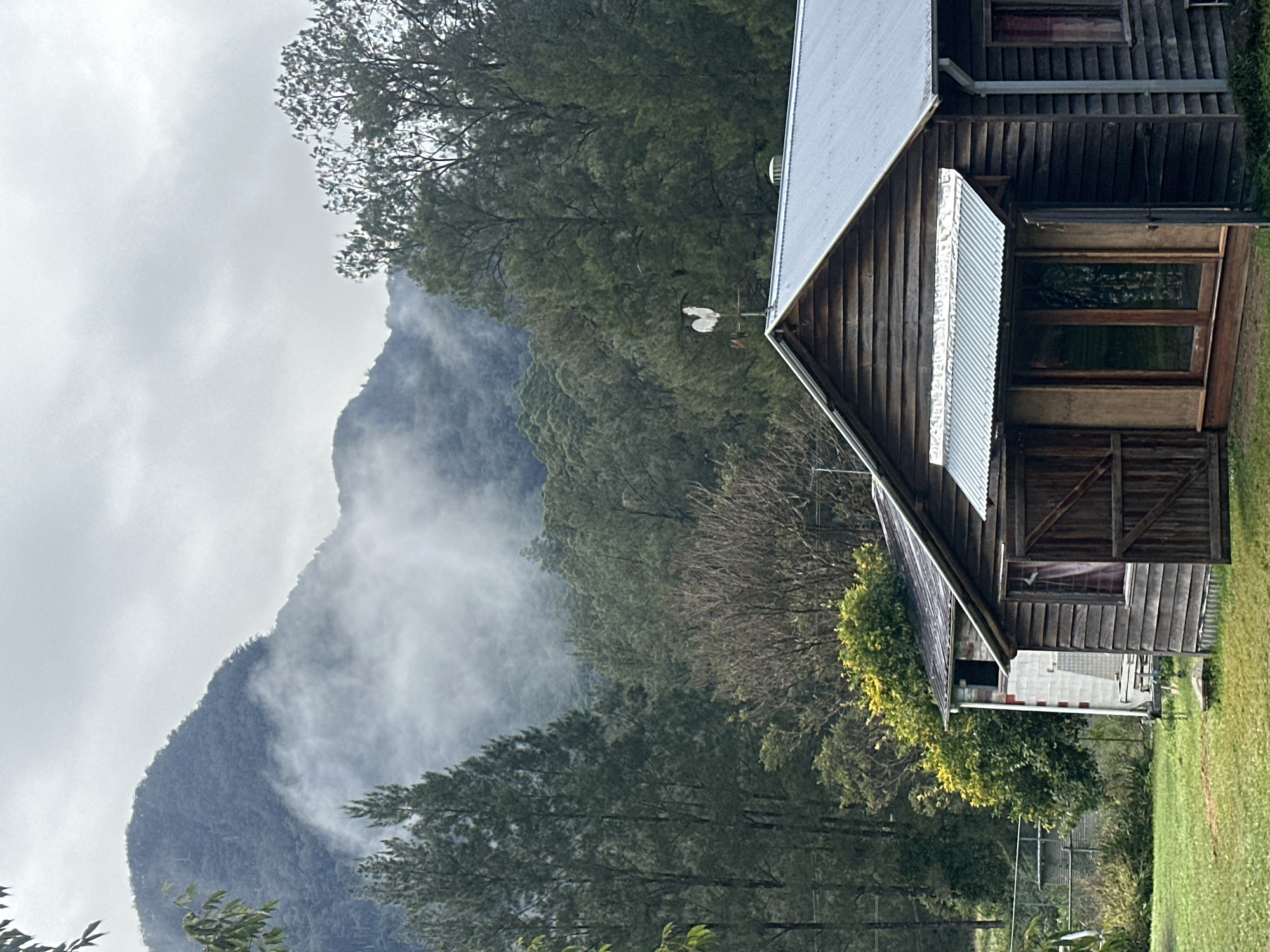 Quiet rural cabin life in the forested hills of Thora