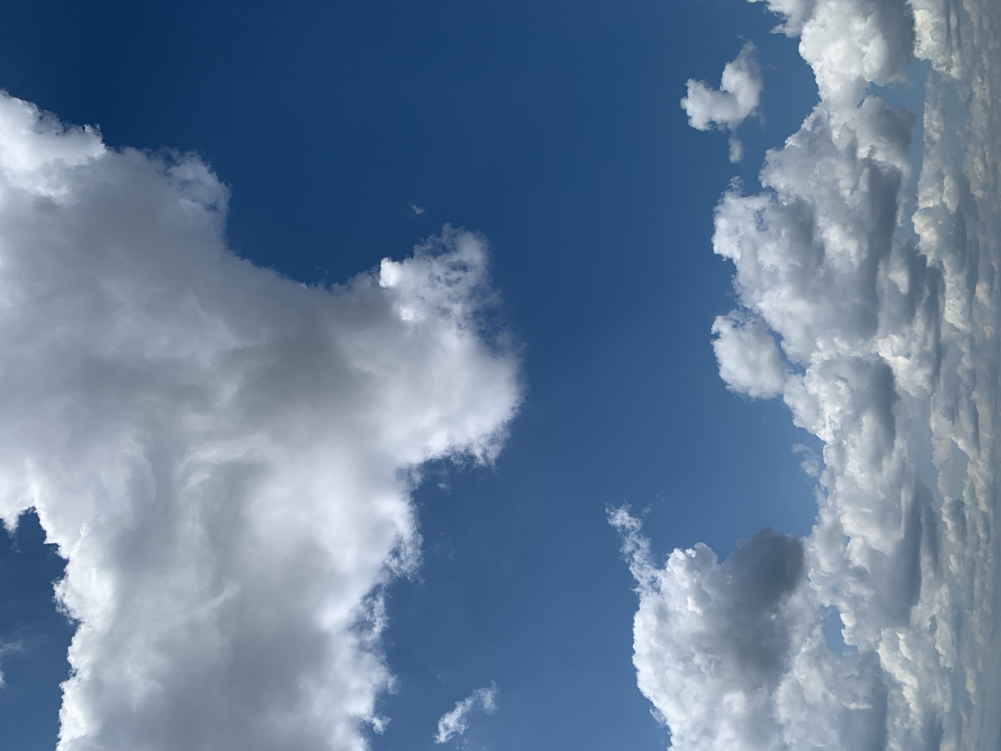 Summer skies over Kolomyia, clouds shifting through a August morning