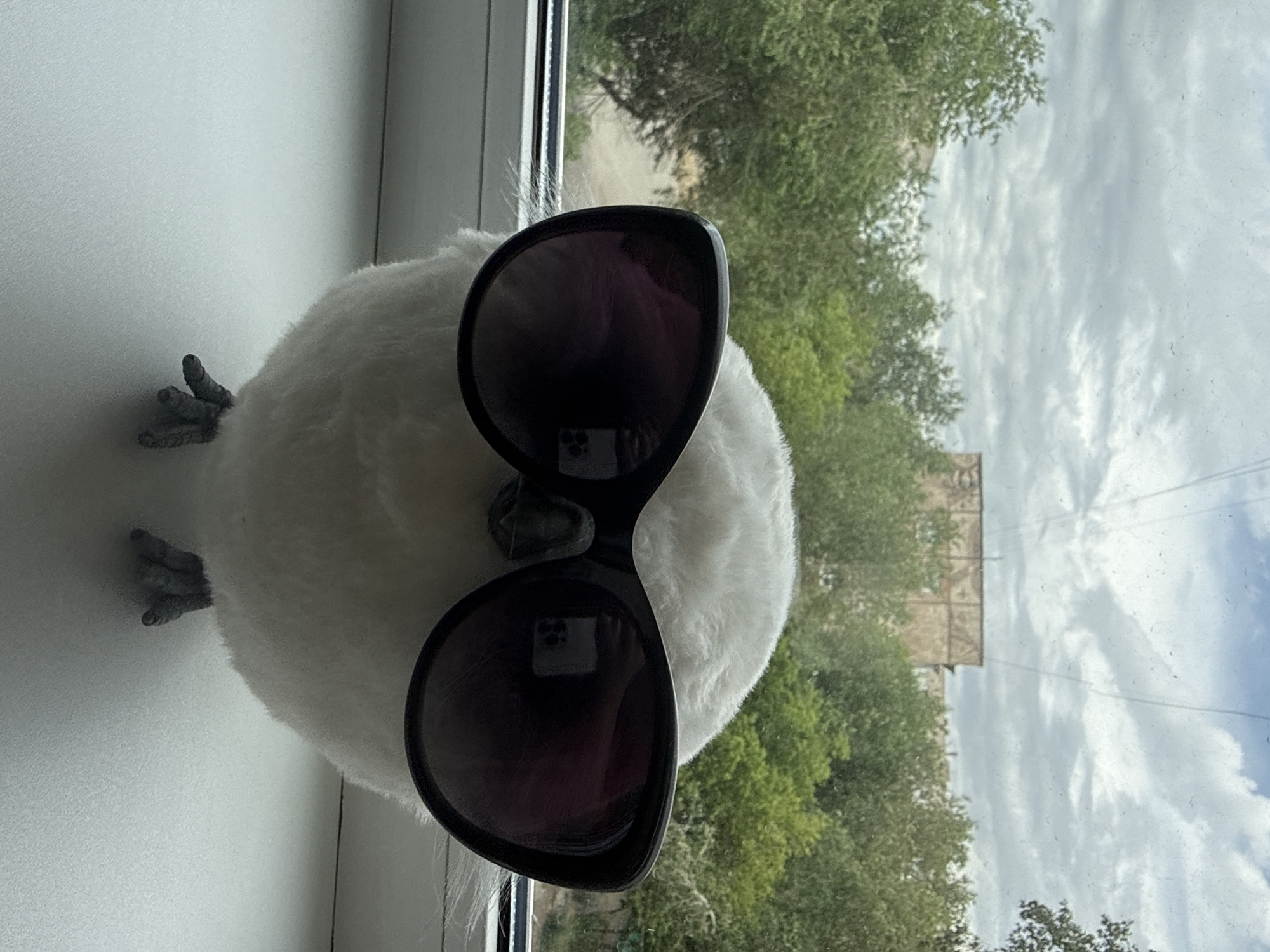 Quirky windowsill sunglasses promo shoot in Pavlodar