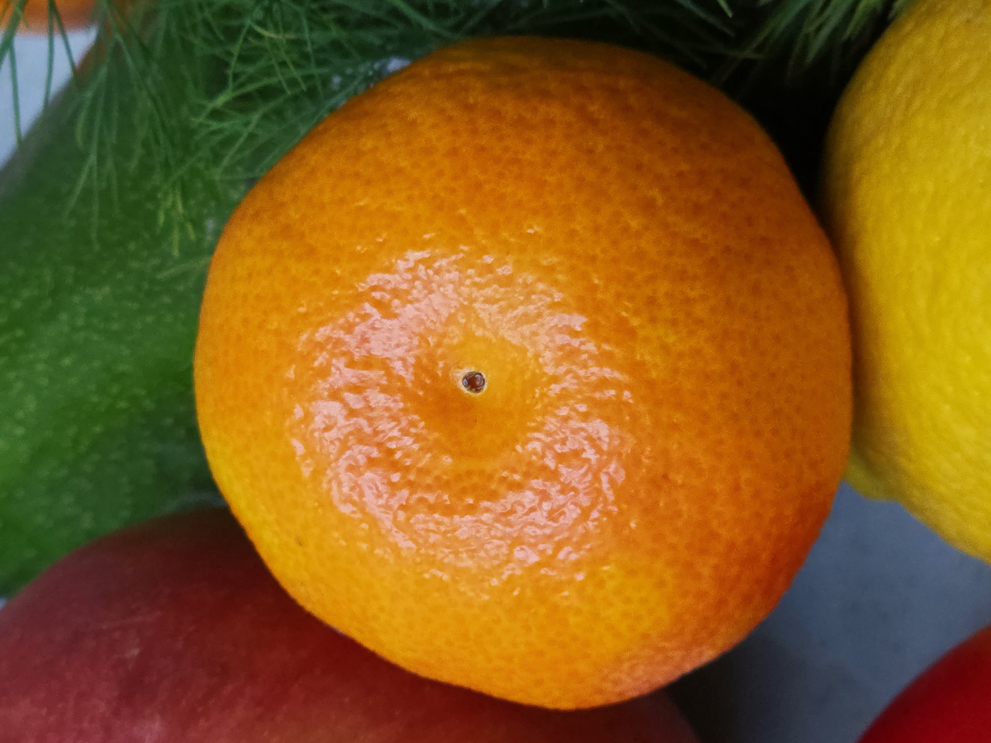 Person documents fresh produce and groceries during afternoon shopping session