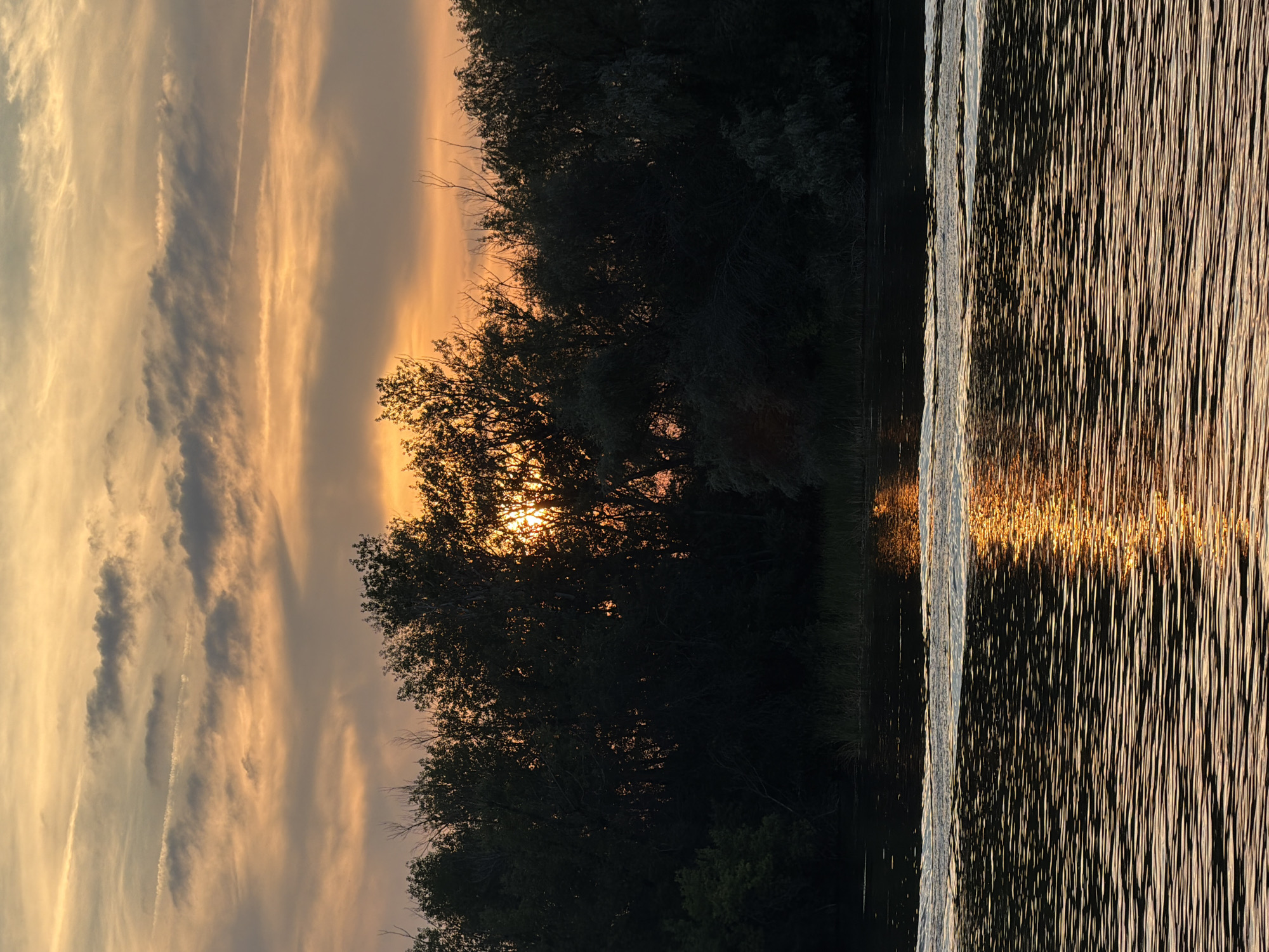 Sunset, a riverside deck, and a raccoon getting snacks in Engels