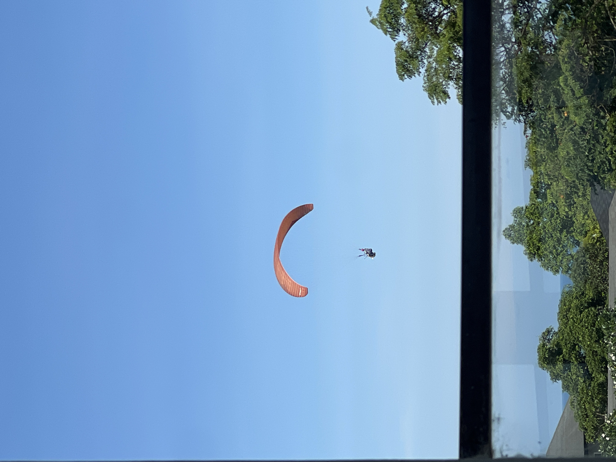 Paraglider spotted, dogs watch through window at same location