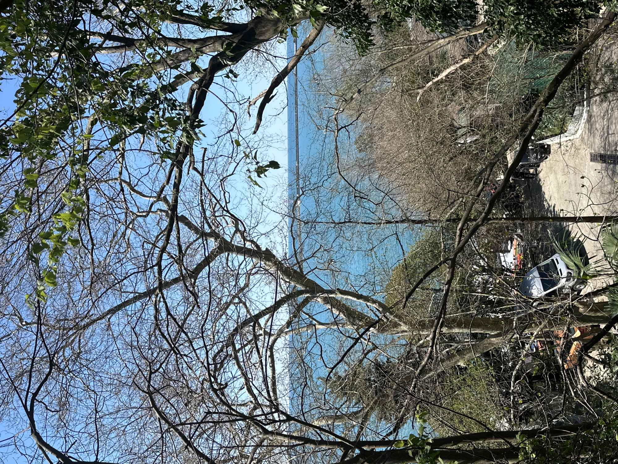 Spring day scenes captured in Sochi's parks and coastline
