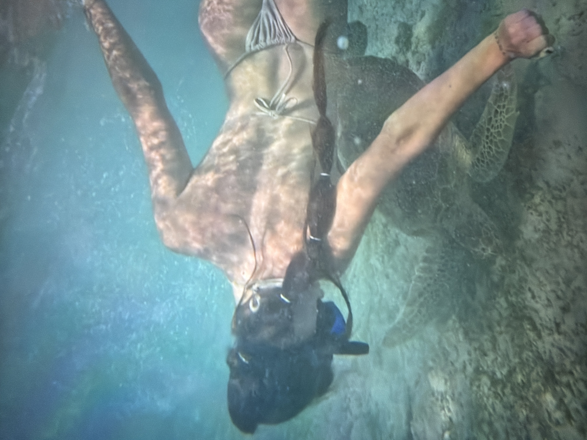 Mixed memories from Beyoğlu include underwater turtle encounters, indoor scenes