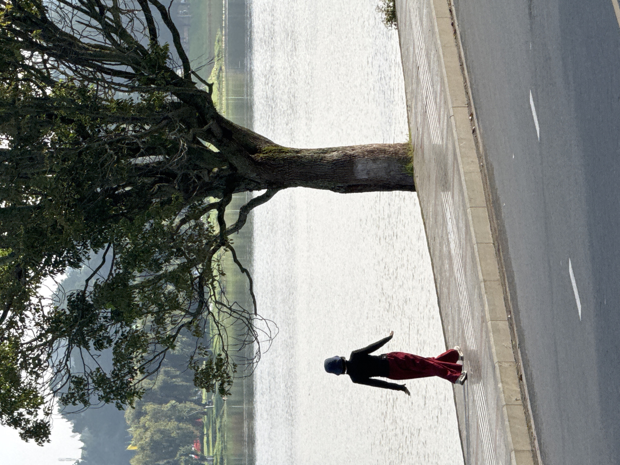 Morning lakeside activity and topiary gardens in Da Lat